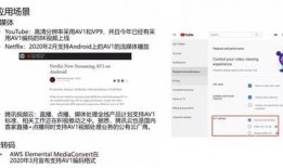 爆料视频具体要求怎么写,深度解析事件背后真相